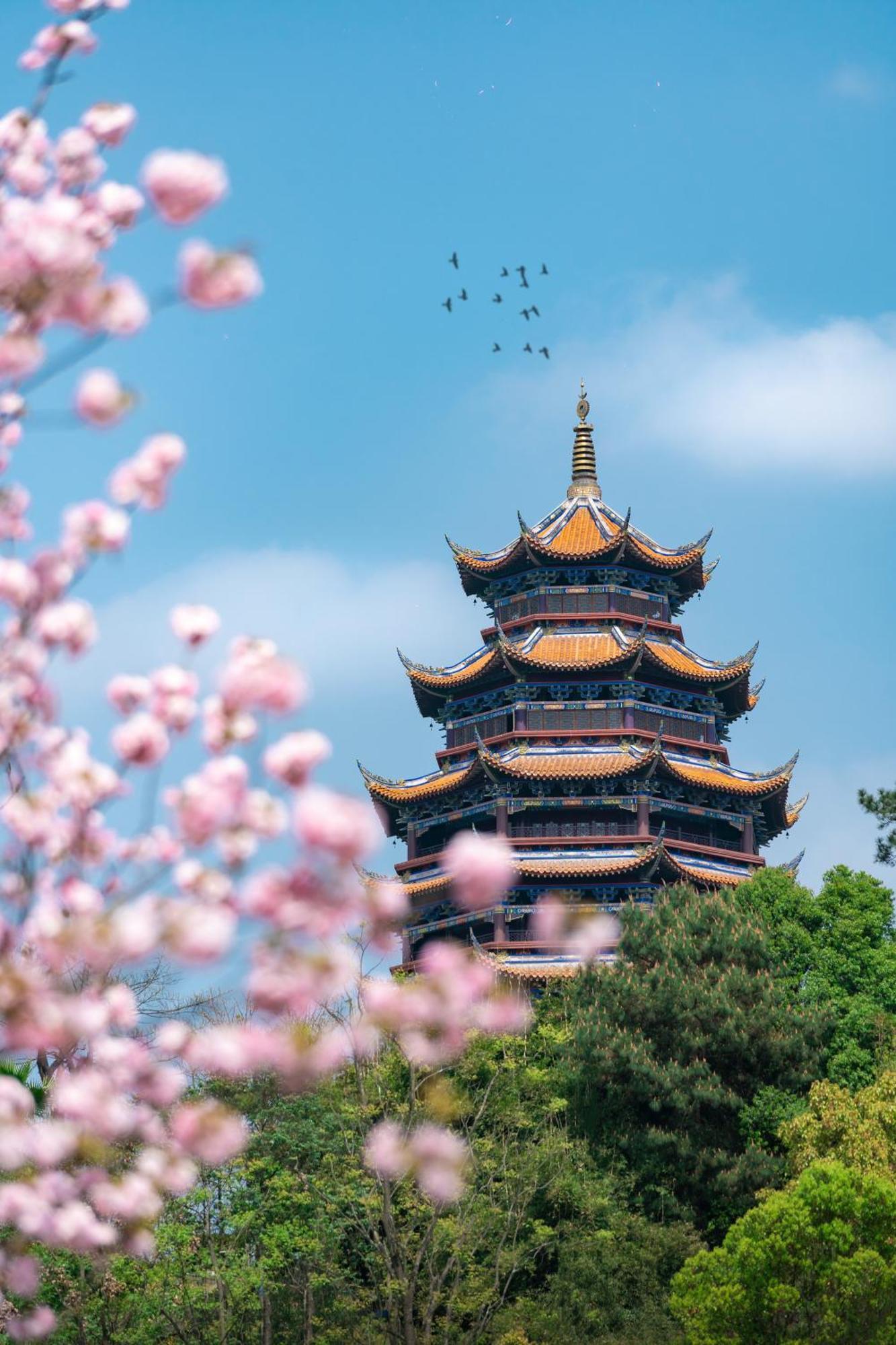Melia Chongqing Hotel Eksteriør billede